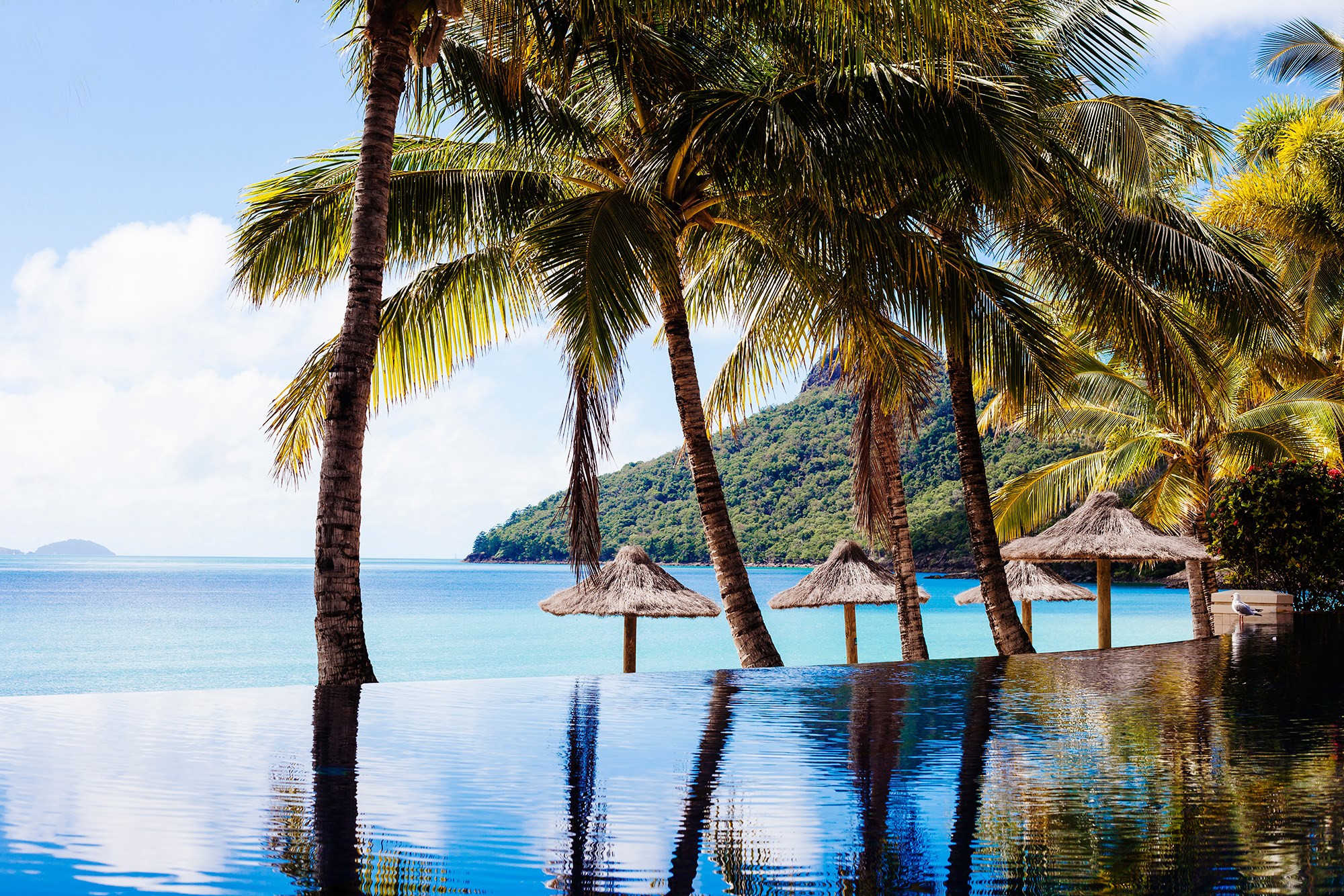 gay hamilton island Gay hamilton island